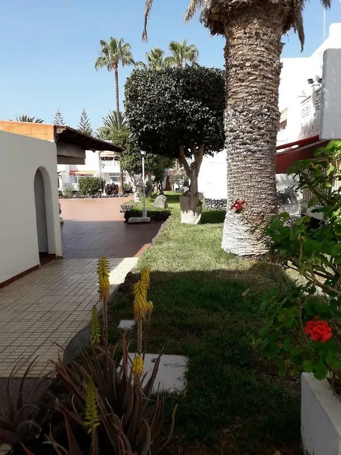 Elegant And Cozy Studio With Pool Chaparral 341 Costa Del Silencio Apartment
