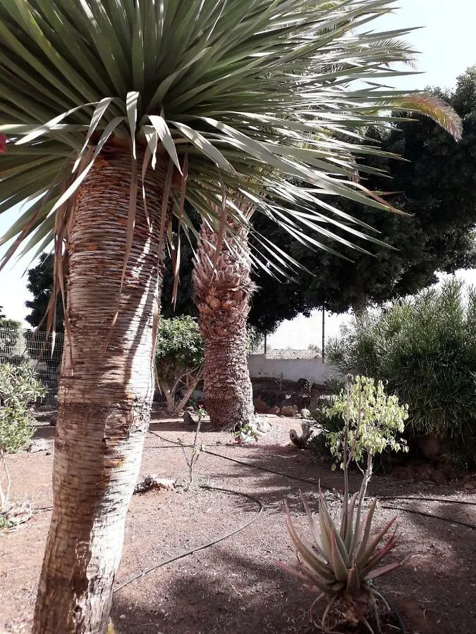 Elegant And Cozy Studio With Pool Chaparral 341 Costa Del Silencio